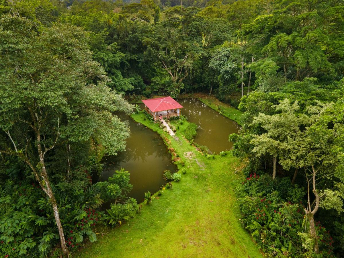 Ara Ambigua Lodge Sarapiquí エクステリア 写真