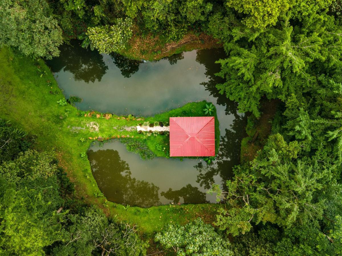 Ara Ambigua Lodge Sarapiquí エクステリア 写真