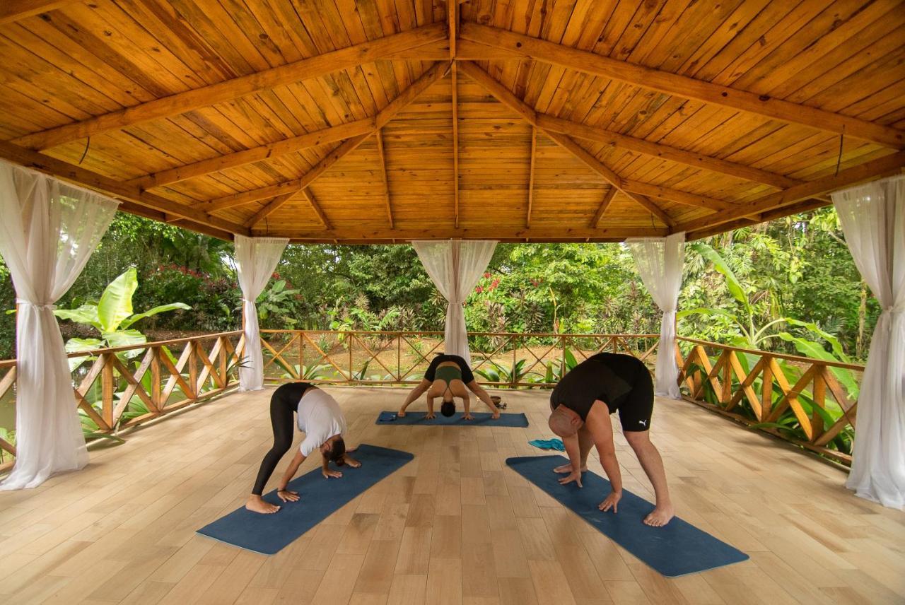 Ara Ambigua Lodge Sarapiquí エクステリア 写真