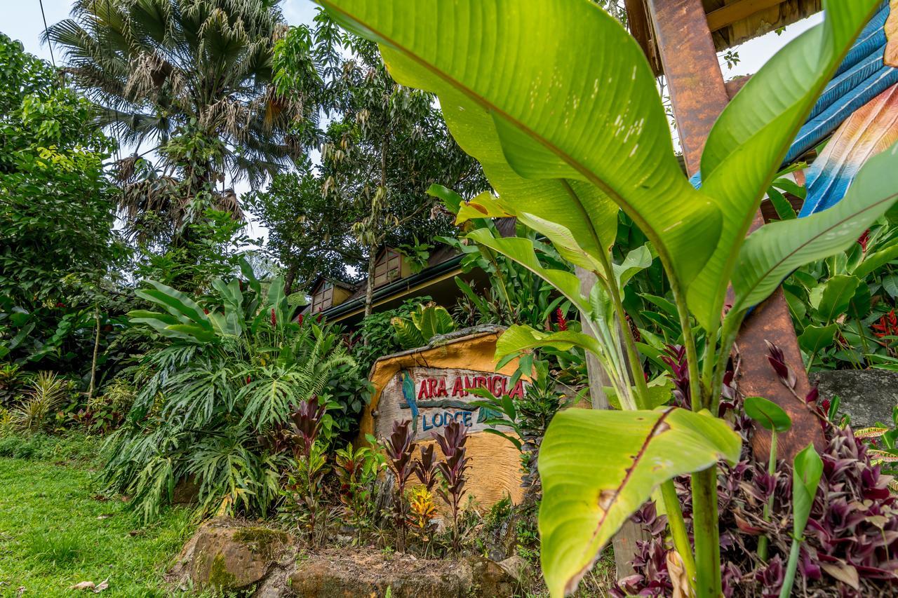 Ara Ambigua Lodge Sarapiquí エクステリア 写真