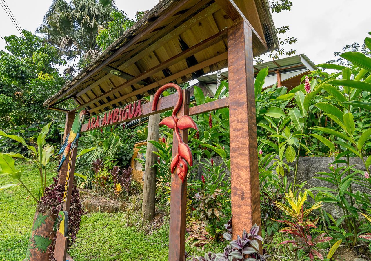Ara Ambigua Lodge Sarapiquí エクステリア 写真