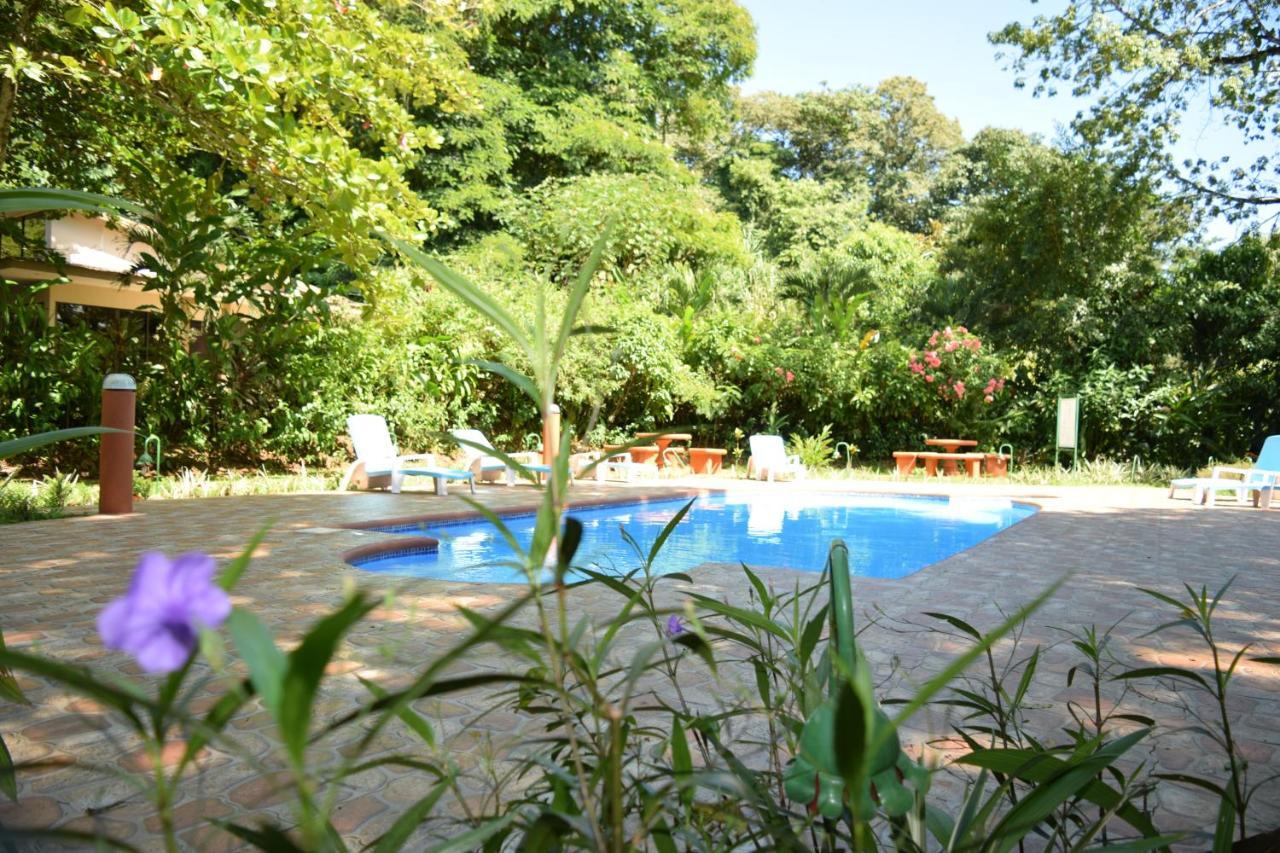 Ara Ambigua Lodge Sarapiquí エクステリア 写真
