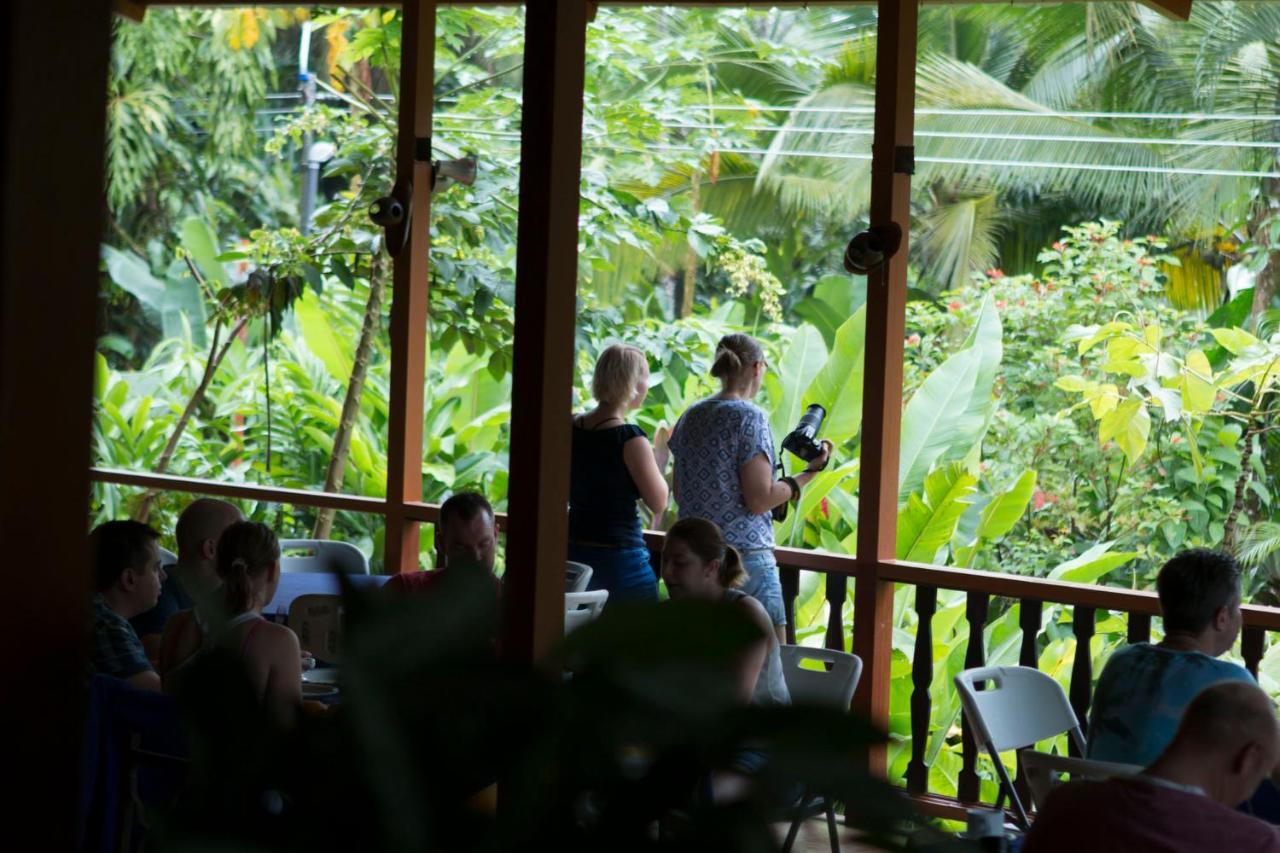 Ara Ambigua Lodge Sarapiquí エクステリア 写真